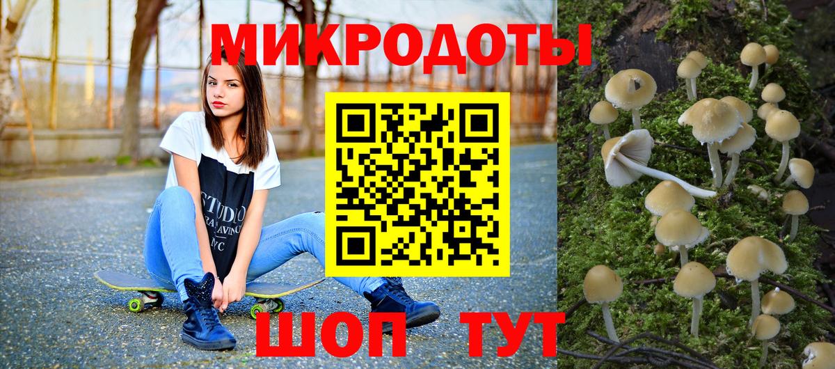Псилоцибиновые грибы Psilocybe Анапа